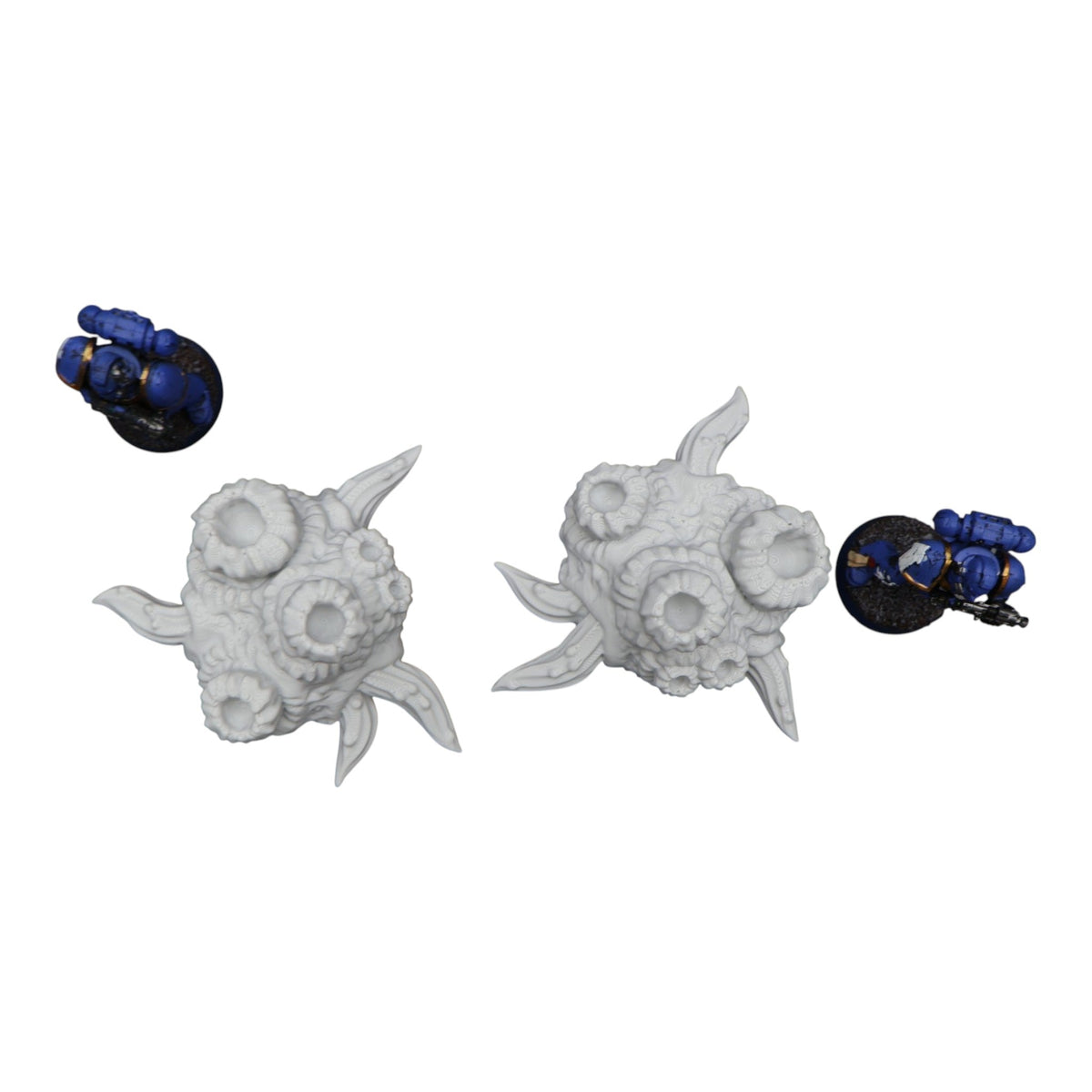 Flesh Barnacle #1 - 28mm Wargaming Scatter Terrain Scenery Tabletop Miniature