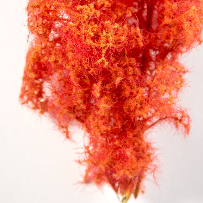 AK Interactive Red-Orange Fantasy Bushes 1/35 AK8266