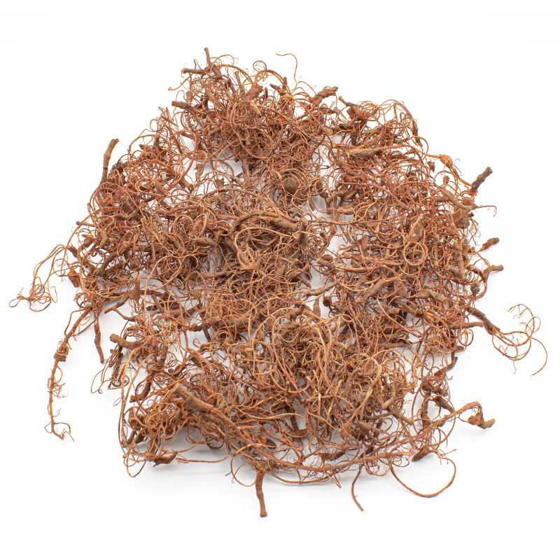 Diorama Tree Roots | Green Stuff World