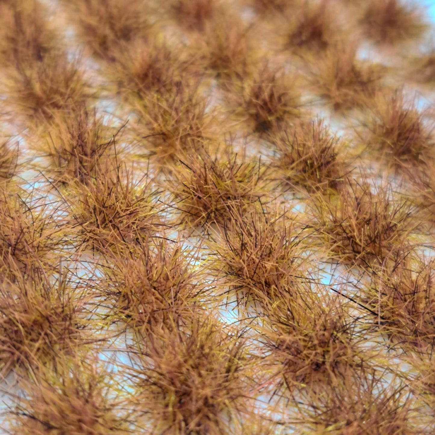 Grasses - Volcanium Blossom