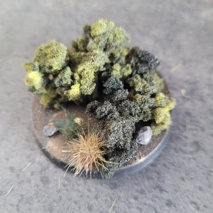 Grasses - Weedy Scrub