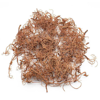 Diorama Tree Roots | Green Stuff World