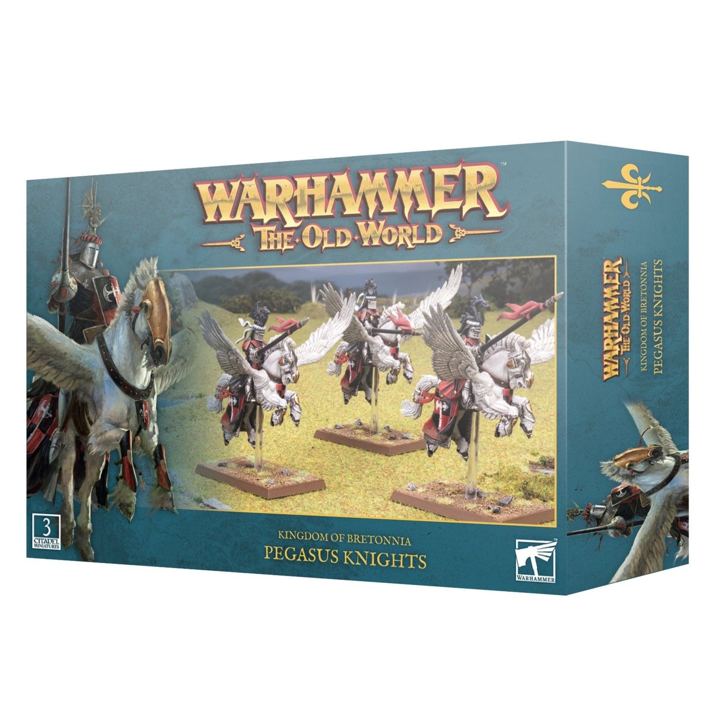 Kingdom of Bretonnia: Pegasus Knights