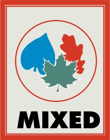 Miniature Leaf Punch - Maple, Sycamore, Poplar Mix | Green Stuff World